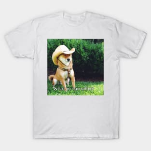 What in Tarnation Dog T-Shirt